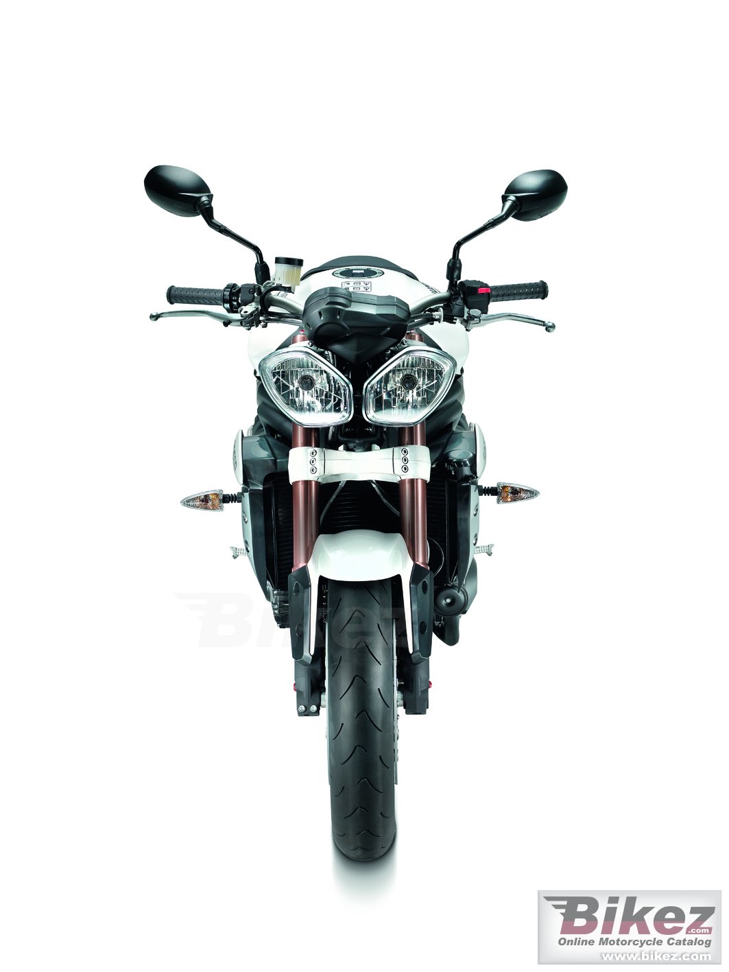 Big Triumph speed triple picture and wallpaper from Bikez.com